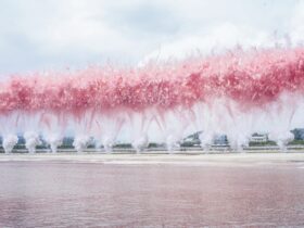 O artista Cai Guo-Qiang encanta o Japão com sua pirotecnia diurna e mostra solo inovadora